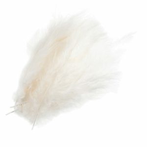 Cream Feathers