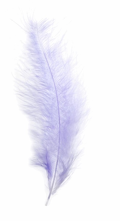 Marabou Feather Lilac