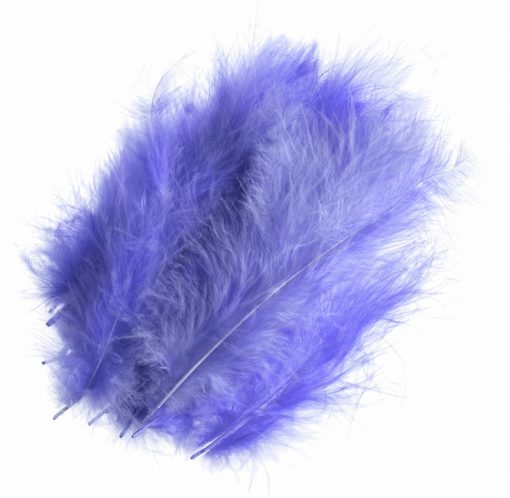 Purple Feathers
